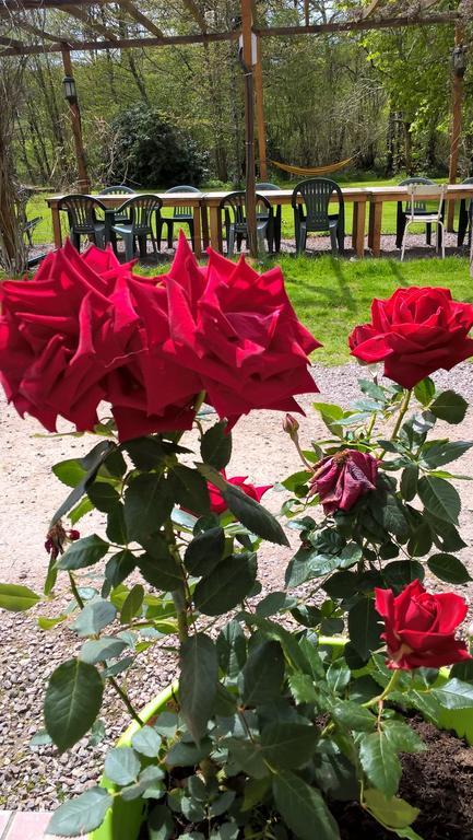 Le Moulin De Douzy Bed & Breakfast Saint-Christophe  Exterior foto