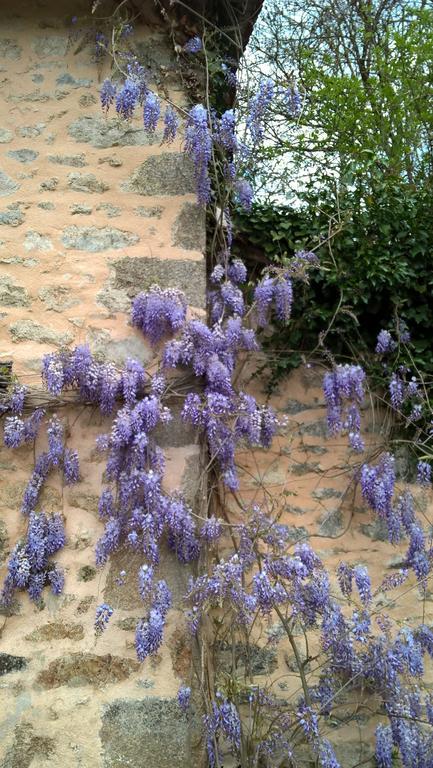 Le Moulin De Douzy Bed & Breakfast Saint-Christophe  Exterior foto