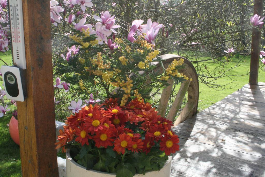 Le Moulin De Douzy Bed & Breakfast Saint-Christophe  Exterior foto
